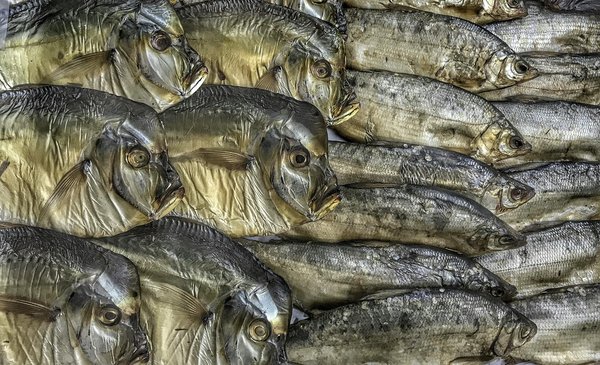 Télémédecine : révolutionner le suivi des patients atteints de maladies infectieuses chroniques